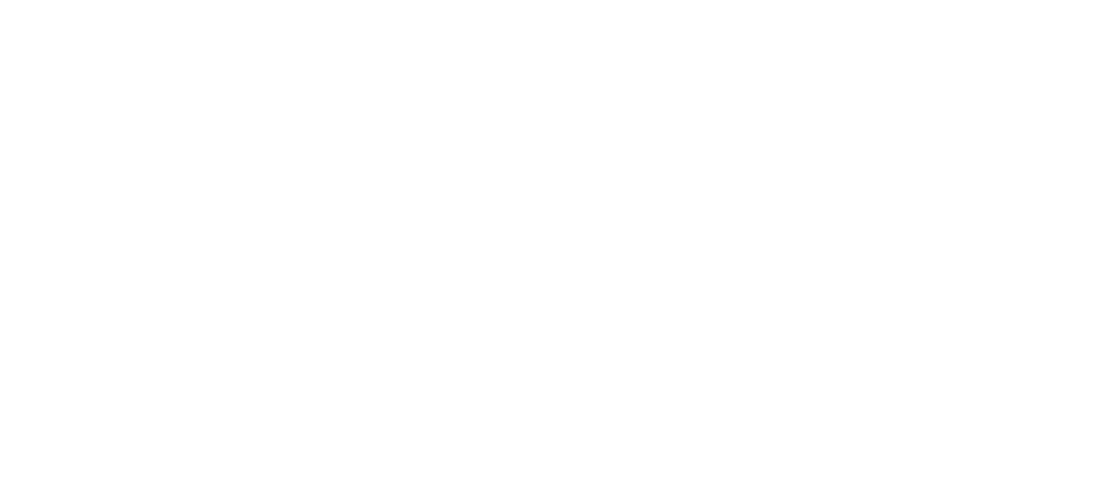 Logo Hikvision