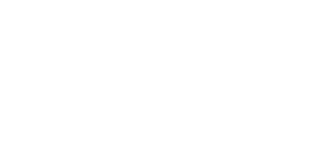 Logo Protect
